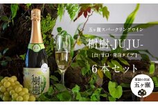 五ヶ瀬スパークリングワイン 樹樹（白・甘口・発泡タイプ）6本セット | 飲料 酒 さけ お酒 おさけ アルコール ワイン スパークリングワイン 白ワイン 宮崎県 五ヶ瀬町