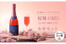 五ヶ瀬スパークリングワイン 桜舞（ロゼ・やや甘口・発泡タイプ）6本セット | 飲料 酒 さけ お酒 おさけ アルコール ワイン スパークリングワイン ロゼワイン 宮崎県 五ヶ瀬町