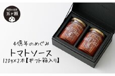 四億年のめぐみ 「 トマトソース 」 120g × 2本 【 ギフト箱入り 】 | 加工品 瓶詰 調味料 ソース トマト 贈答 ギフト 箱 宮崎県 五ヶ瀬町