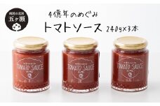 四億年のめぐみ 「 トマトソース 」 240g × 3本 | 加工品 瓶詰 調味料 ソース トマト 宮崎県 五ヶ瀬町