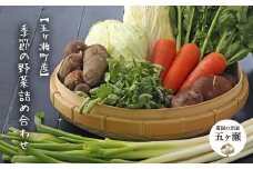 【五ヶ瀬町産】季節の野菜詰め合わせセット | 野菜 やさい ヤサイ 季節 旬 詰め合わせ セット 宮崎県 五ヶ瀬町