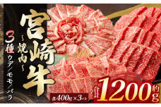 宮崎牛ウデ・モモ・バラ焼肉 各400g　計1.2kg | 肉 にく お肉 おにく 牛 牛肉 和牛 宮崎牛 ウデ モモ バラ 焼肉 赤身 宮崎県 五ヶ瀬町