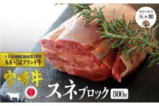 宮崎牛 スネブロック 800g | 肉 にく お肉 おにく 牛 牛肉 和牛 スネ肉 ブロック 煮込み 宮崎県 五ヶ瀬町