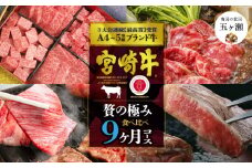 【定期便】 宮崎牛だけの食べ比べ贅の極み9ヶ月コース | 肉 にく お肉 おにく 牛 牛肉 和牛 宮崎牛 しゃぶしゃぶ すき焼き 焼肉 ステーキ 宮崎県 五ヶ瀬町 定期 定期便