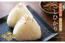 【定期便 ５㎏×３回】五ヶ瀬町産こしひかり　寅五郎米 | 米 こめ お米 おこめ 精米 白米 こしひかり 宮崎県 五ヶ瀬町 定期 定期便