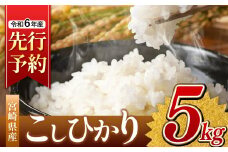 令和6年産 新米 こしひかり 5kg （白米） 宮崎県産 | 米 こめ お米 おこめ 精米 白米 コシヒカリ 宮崎県 五ヶ瀬町