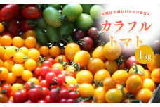 カラフルトマト 1kg 野菜 | 野菜 やさい ヤサイ トマト とまと カラフル 宮崎県 五ヶ瀬町
