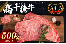 高千穂牛 サーロインステーキ 2枚 500g (250g×2)　宮崎県産 黒毛和牛 A4 ～ A5 等級 | 肉 にく お肉 おにく 牛 牛肉 和牛 サーロイン ステーキ 宮崎県 五ヶ瀬町