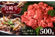 宮崎牛 切り落とし 500g　宮崎県産 黒毛和牛 A4 ～ A5 等級 | 肉 にく お肉 にく 牛肉 すき焼き 焼肉 宮崎県 五ヶ瀬町