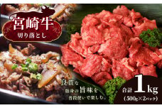 A4 ～ A5 等級 宮崎牛 切り落とし 合計1kg 宮崎県産 黒毛和牛 | 肉 にく お肉 にく 牛肉 すき焼き 焼肉 宮崎県 五ヶ瀬町