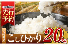 令和6年産 新米 こしひかり 20kg （白米） 宮崎県産 |  ( ５kg × ４袋 ）米 こめ お米 おこめ 精米 白米 宮崎県 五ヶ瀬町