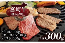 宮崎牛 極み上焼肉セット  | 宮崎牛 牛ヒレ 100g  宮崎牛 サーロイン 100g  宮崎牛 ミスジ 100g  宮崎牛 Ａ4 黒毛和牛 牛肉 肉 にく 赤身 国産 ブランド牛 ステーキ 焼肉  宮崎県 五ヶ瀬町