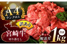 【9月発送】人気 牛肉  ! A4 - A5 宮崎牛 切り落とし 訳あり 1kg | 小分け 500g × 2 宮崎牛 切り落とし 部位不問 脂身 黒毛和牛 牛肉 肉 にく お肉 スライス 切り落とし 国産 ブランド牛 カレー 牛丼 切り落とし 野菜炒め  宮崎県 五ヶ瀬町 切り落とし 切り落とし