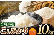 令和7年産 こしひかり 10kg （白米） 宮崎県産 | 米 こめ お米 おこめ 精米 白米 宮崎県 五ヶ瀬町