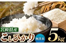令和7年産 こしひかり 5kg （無洗米） 宮崎県産 | 米 こめ お米 おこめ 精米 白米 宮崎県 五ヶ瀬町