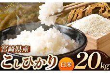 令和7年産 こしひかり 20kg （白米） 宮崎県産 | 米 こめ お米 おこめ 精米 白米 宮崎県 五ヶ瀬町