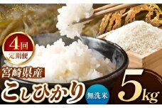 【 定期便4回 】令和7年産 こしひかり 5kg （ 無洗米 ） 宮崎県産 | 米 こめ お米 おこめ 精米 白米 宮崎県 五ヶ瀬町