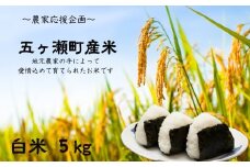 令和7年産 新米 五ヶ瀬町産米 こしひかり 5kg | お米 米 ブランド こめ 白米 九州 宮崎県 五ヶ瀬町 白米 人気