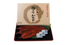 楠田の極みうなぎ蒲焼き3尾(170g～189g×3尾)【1401520】