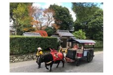 特定非営利活動法人　いずみ観光牛車会（返礼品なし）