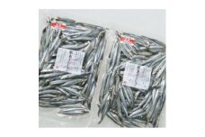 甑島のきびなご天日干し1kg(500g×2袋)【1508471】