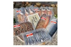甑島の天日干しセット【1508472】