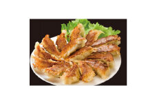 鹿児島黒豚餃子144個(12個入り×12P)【1554589】