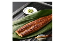 楠田の極うなぎ蒲焼き10尾(170g～189g×10尾)【1580468】