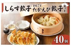 鹿児島の海鮮入り餃子セット　K061-002