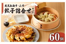 「照照」鹿児島海幸・山幸餃子詰合せ　K061-003