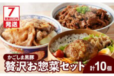 【7営業日以内に発送】【岩元精肉店】鹿児島県産　贅沢お惣菜詰合せセットＡ　K045-009