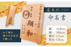 屋久杉 命名書　K042-003