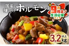【 期間限定 生活応援 】【ナンチクファクトリー】国産豚味付けホルモン3.2kg以上（F）　K073-007_cp