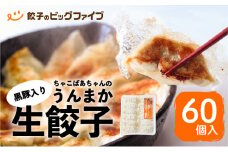 ちゃこばあちゃんの黒豚入りうんまか生餃子 60個入り　K027-001