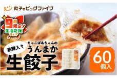 【 期間限定 生活応援 】ちゃこばあちゃんの黒豚入りうんまか生餃子 60個入り　K027-001_cp