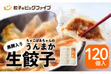 ちゃこばあちゃんの黒豚入りうんまか生餃子 120個入り　K027-003