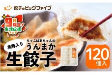 【 期間限定 生活応援 】ちゃこばあちゃんの黒豚入りうんまか生餃子 120個入り　K027-003_cp