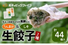 ちゃこばあちゃんの黒豚入りうんまか・しそ生餃子 計44個入り　K027-004