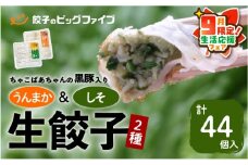 【 期間限定 生活応援 】ちゃこばあちゃんの黒豚入りうんまか・しそ生餃子 計44個入り　K027-004_cp