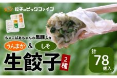 ちゃこばあちゃんの黒豚入りうんまか・しそ生餃子 計78個入り　K027-005