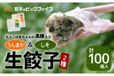 ちゃこばあちゃんの黒豚入りうんまか・しそ生餃子 計100個入り　K027-006