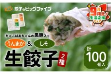 【 期間限定 生活応援 】ちゃこばあちゃんの黒豚入りうんまか・しそ生餃子 計100個入り　K027-006_cp