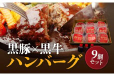 黒豚×黒牛ハンバーグ9個セット　K098-005
