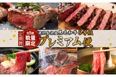 【全5回・数量限定】鹿児島県産黒毛和牛5等級「プレミアム便」　K086-T05