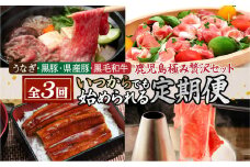 【いつからでも定期便全3回】うなぎ・黒豚・県産豚・黒毛和牛「鹿児島極み贅沢セット」　K086-T09