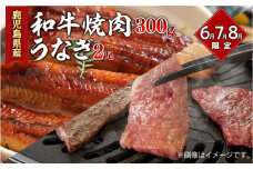 鹿児島県産うなぎ2尾・和牛焼肉300g【6月・7月・8月限定】　K086-010