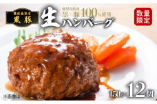 鹿児島県産黒豚生ハンバーグ150gｘ12個　K086-017