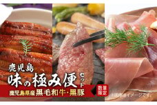 黒豚・黒毛和牛・うなぎ　鹿児島味の極み便A（焼肉）　K086-013