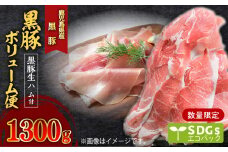 【1300g】黒豚ボリューム便　トレー無しSDGs　K086-023