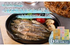 まるごとキビナゴ便り～オリーブ仕立て三彩～ 6個セット　K032-003